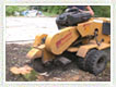 2. Stump Grinding